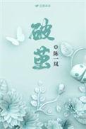 破茧成蝶的文案
