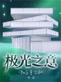 极光之意实体书番外
