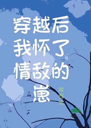穿越后我怀了陛下的崽格格党