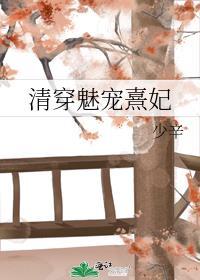清穿魅宠升级路txt