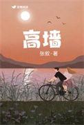 高墙边的混乱 第一季 电视剧剧情