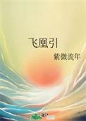 飞凰引 紫微流年百度