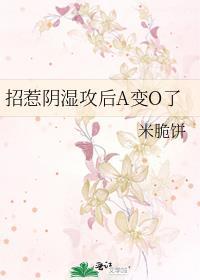 招惹文