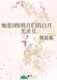 她是s级哨兵们的白月光圣女 介绍