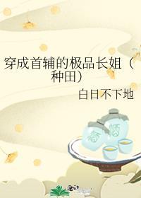 穿成首辅夫人