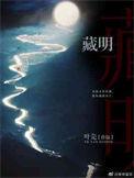 藏明妃情节的