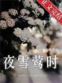 夜雪是谁的作品