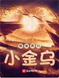 偷偷养只小金乌简介