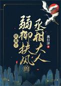 朕的那个弱柳扶风的丞相大人