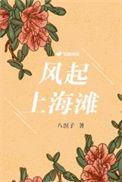 风起上海滩40集全免费观看
