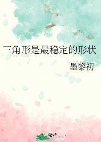 三角形是最稳定的形状墨黎初95