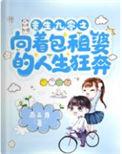 重生九零收租婆