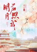 明月照我心上一句是什么