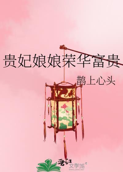 贵妃娘娘是皇上什么人