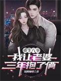 重生八零我让老婆三年抱了俩完结全本