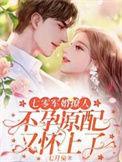 二、七零军妻不可欺