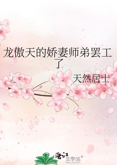 龙傲天与龙傲娇的关系