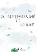 白月光我不当了晋江