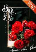 玫瑰先生by林光曦讲的什么