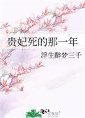 贵妃死的那一年讲的什么