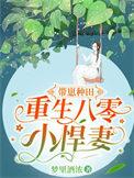 重生八零带萌娃