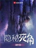 隐秘死角境界划分