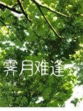霁月难逢by子鹿讲了什么