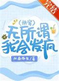 无所谓我会发疯快穿txt