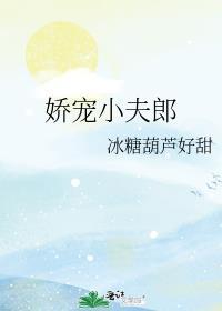娇宠夫人守则