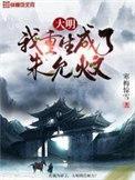 重生成为朱允炆的大明
