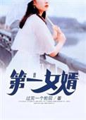 第一女婿txt全集