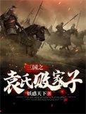 三国之袁家天下
