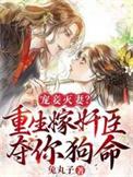 重生宠妾的