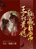 王府小媳妇无错章篇无弹窗