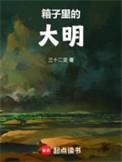 箱子里的大明txt奇书网