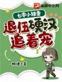 退伍硬汉追着宠TXT