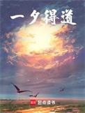 一夕成道的书