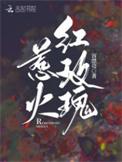 惹火红玫瑰甄婉婉免费阅读