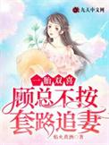 一胎双宝总裁娶妻套路深