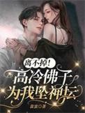 男主叫佛子的