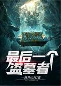 最后一个盗墓者在线观看