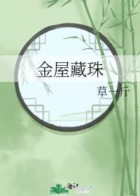 金屋藏珠草一斤免费阅读