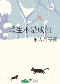 重生不是成仙下册叫什么