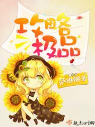 攻略极品柳如烟