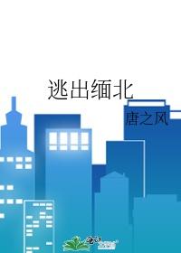 逃出缅北破金