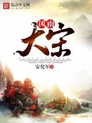 风雨大宋精校版