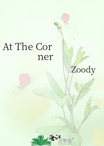 at the corner和on the corner的区别