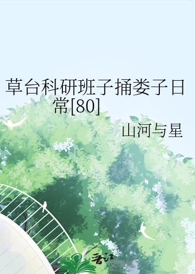 草台科研班子捅娄子日常TXT
