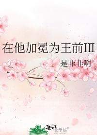 在他加冕为王前ⅲ