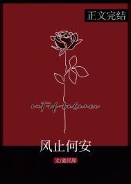 风止何安网名意思是什么